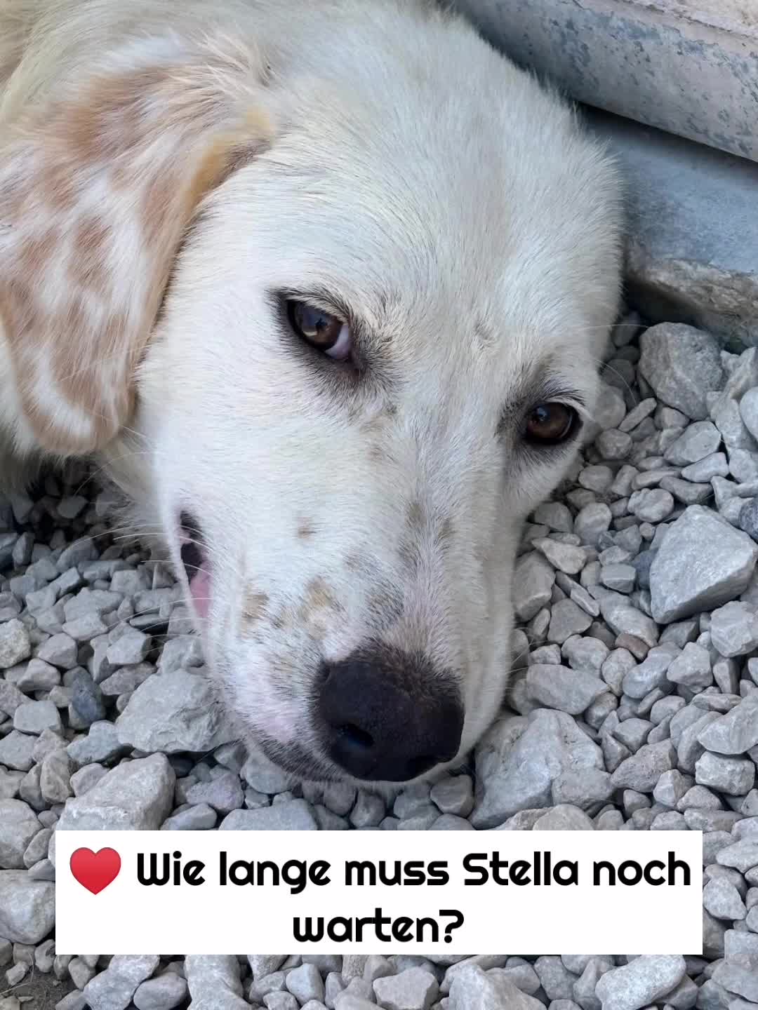 @Sibylle Leis