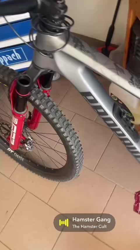@Kaiser16271