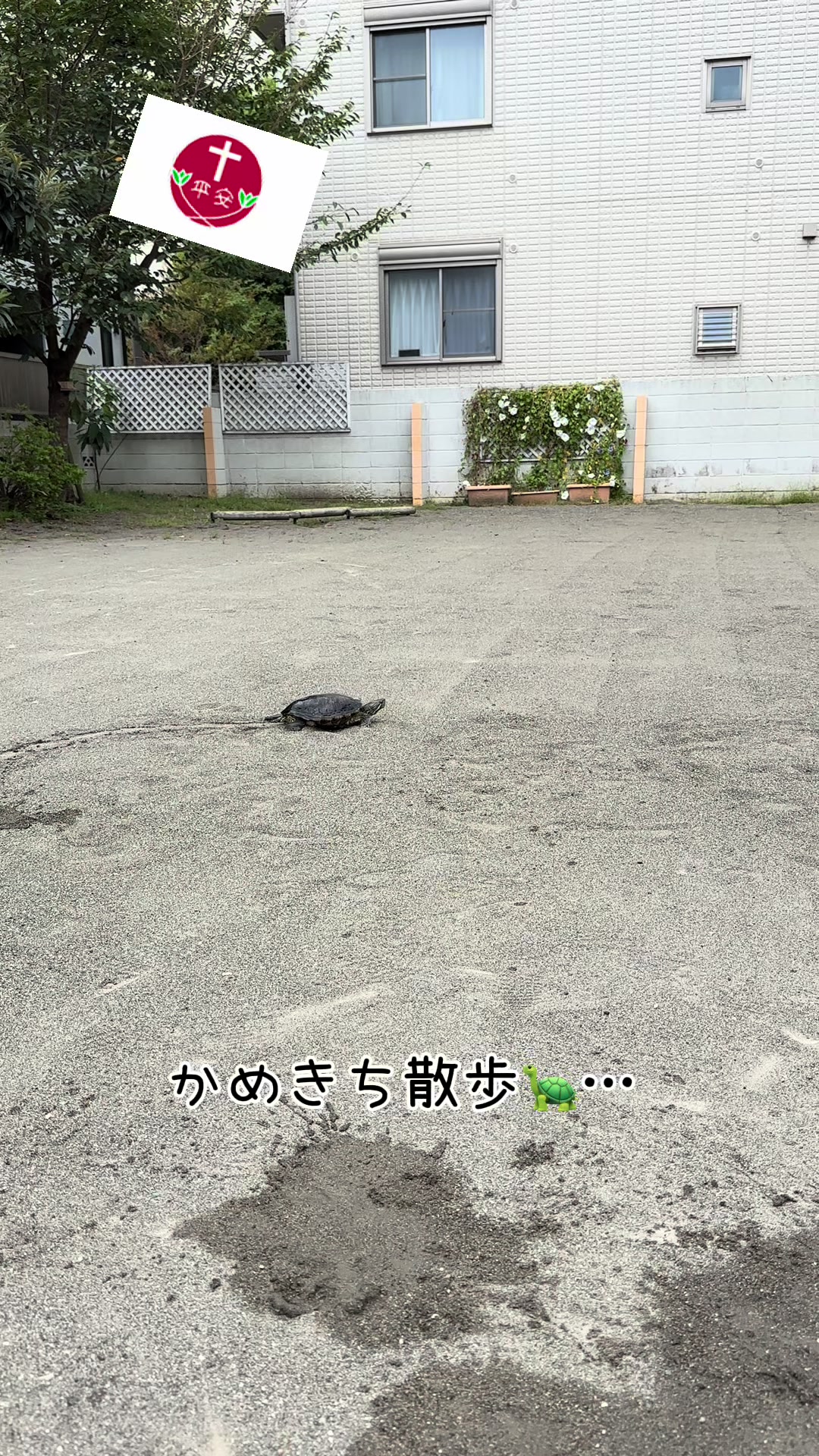@平安幼稚園/世田谷平安教会付属