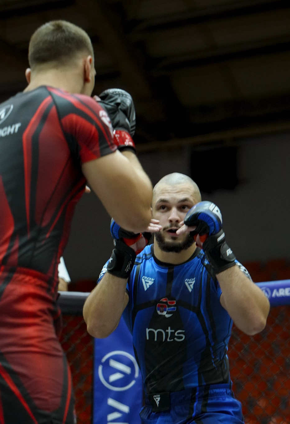 @MMA savez Srbije