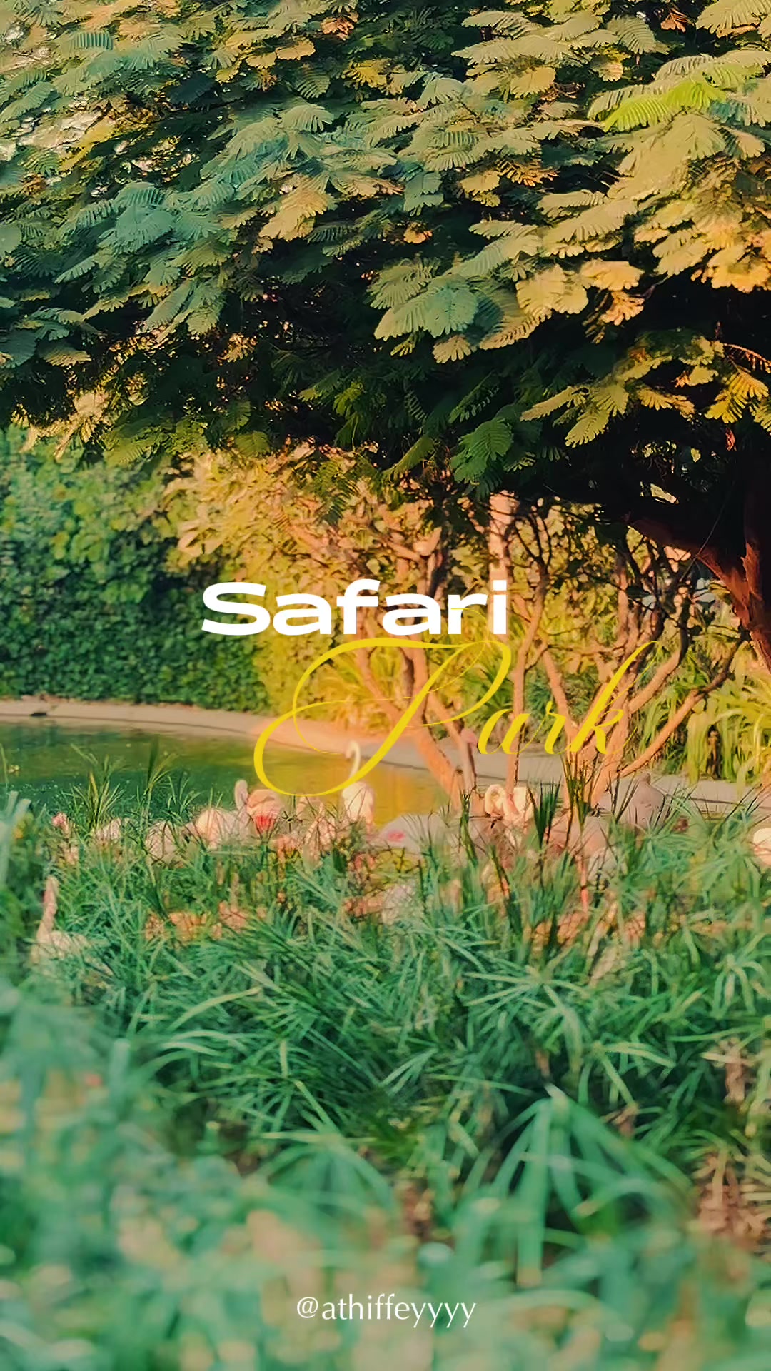 @'-'_ 𝑨𝒕𝒉𝒊𝒇𝒇_🐦&zwj;🔥