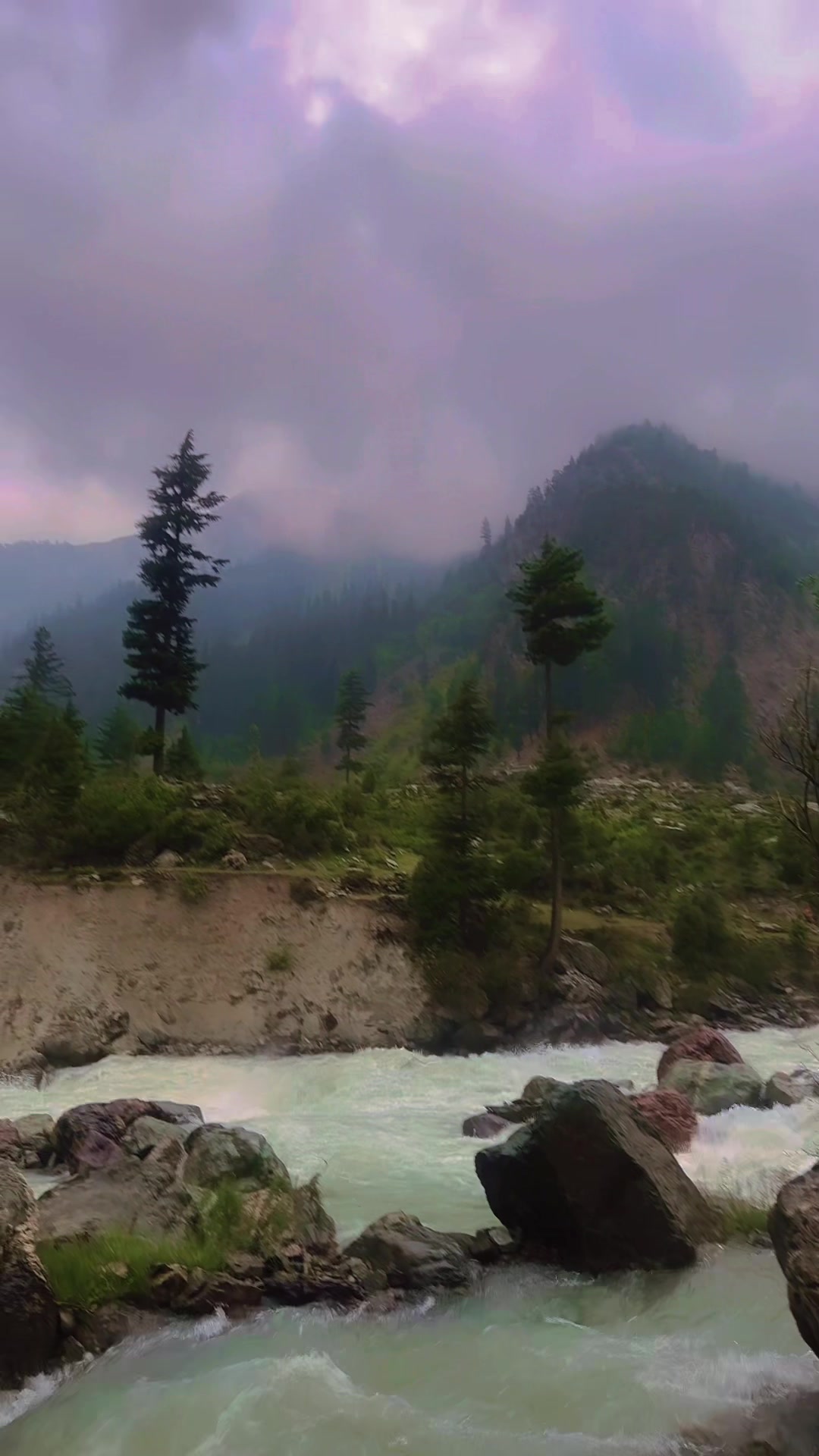 @Nayab Naz