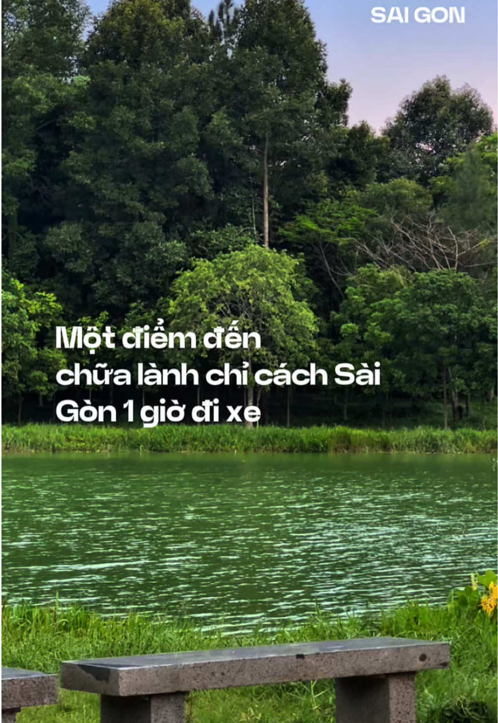 @Check-in Saigon