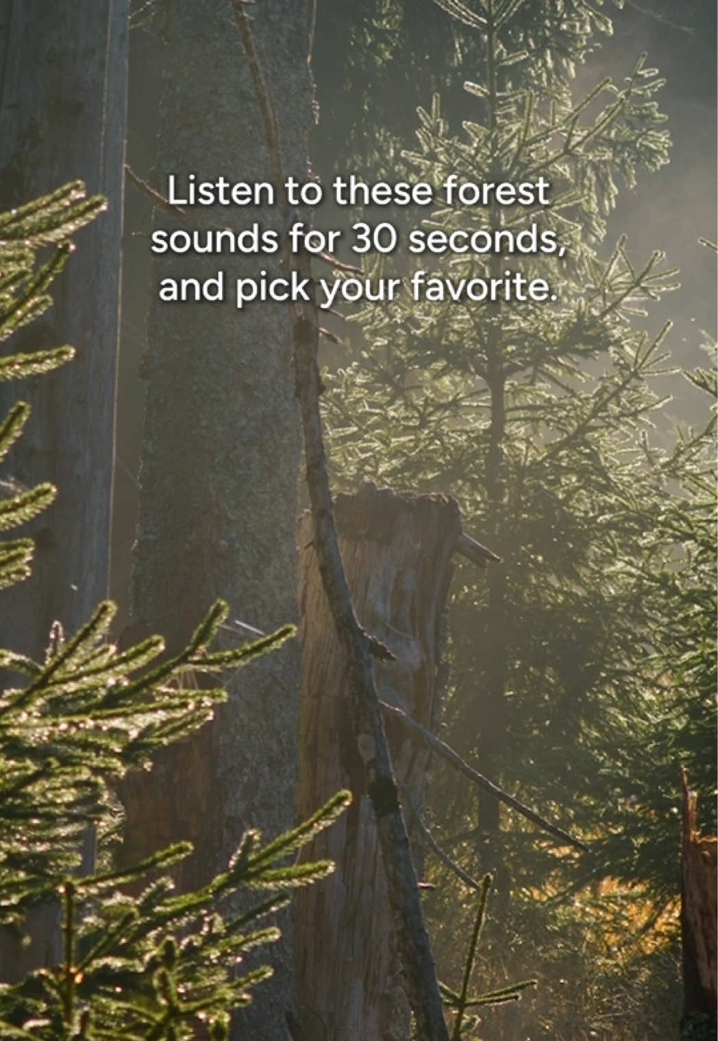 @Calm