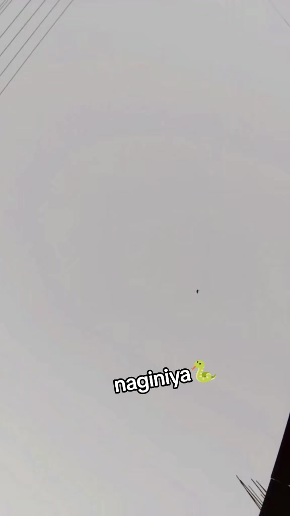 @naginiya 🐍 Queen 👑