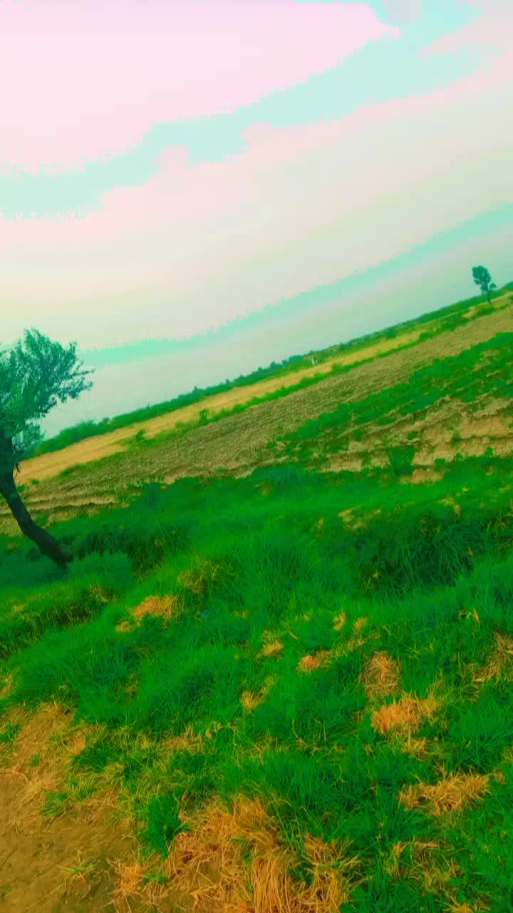 @aijaz solangi