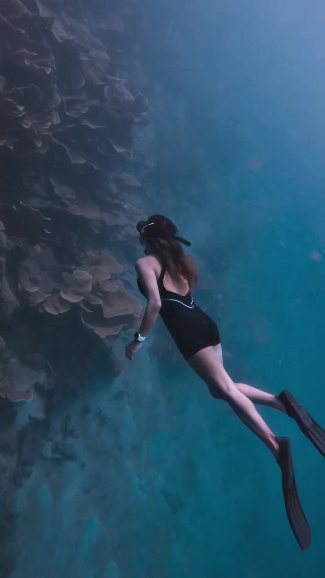 @Michelle Pajalla