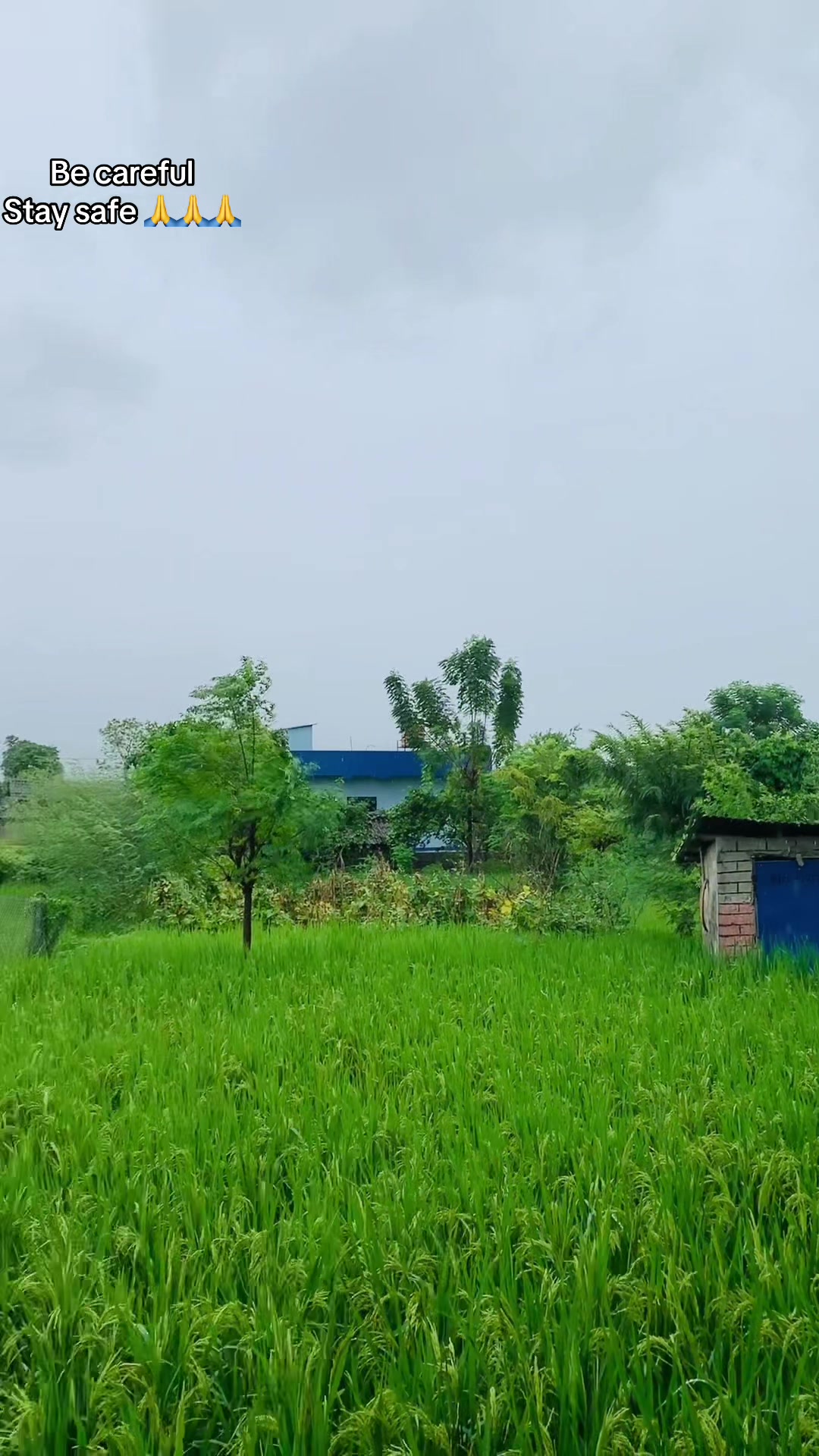 @सरिस्मा Harmel🌸