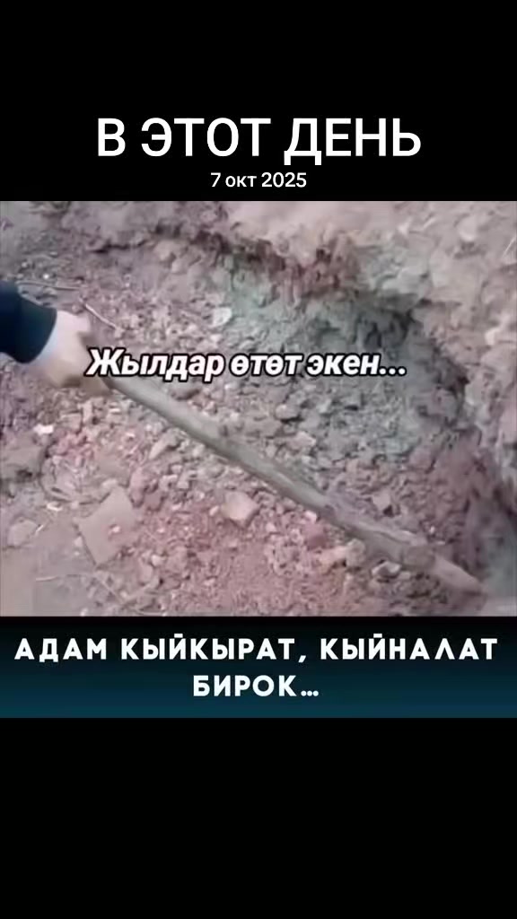@Аллах ыразы болсун ☝️♥️
