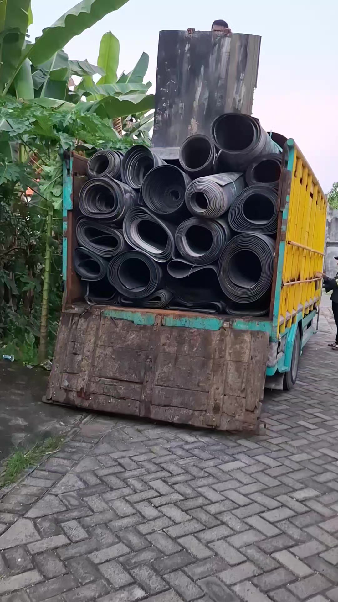 @𝙫𝙞𝙠𝙮_𝙖𝙡𝙚𝙭
