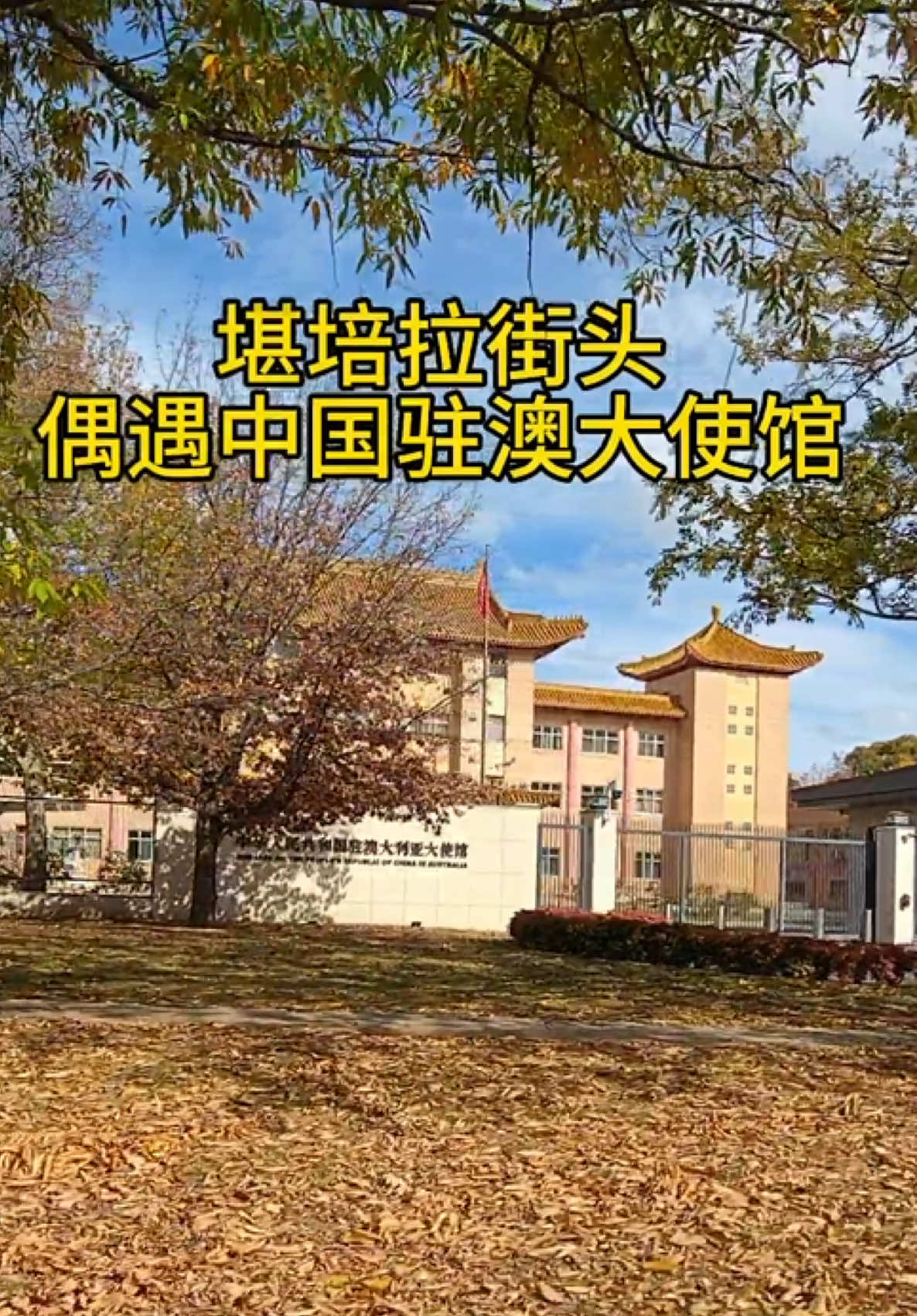 @文文在澳洲