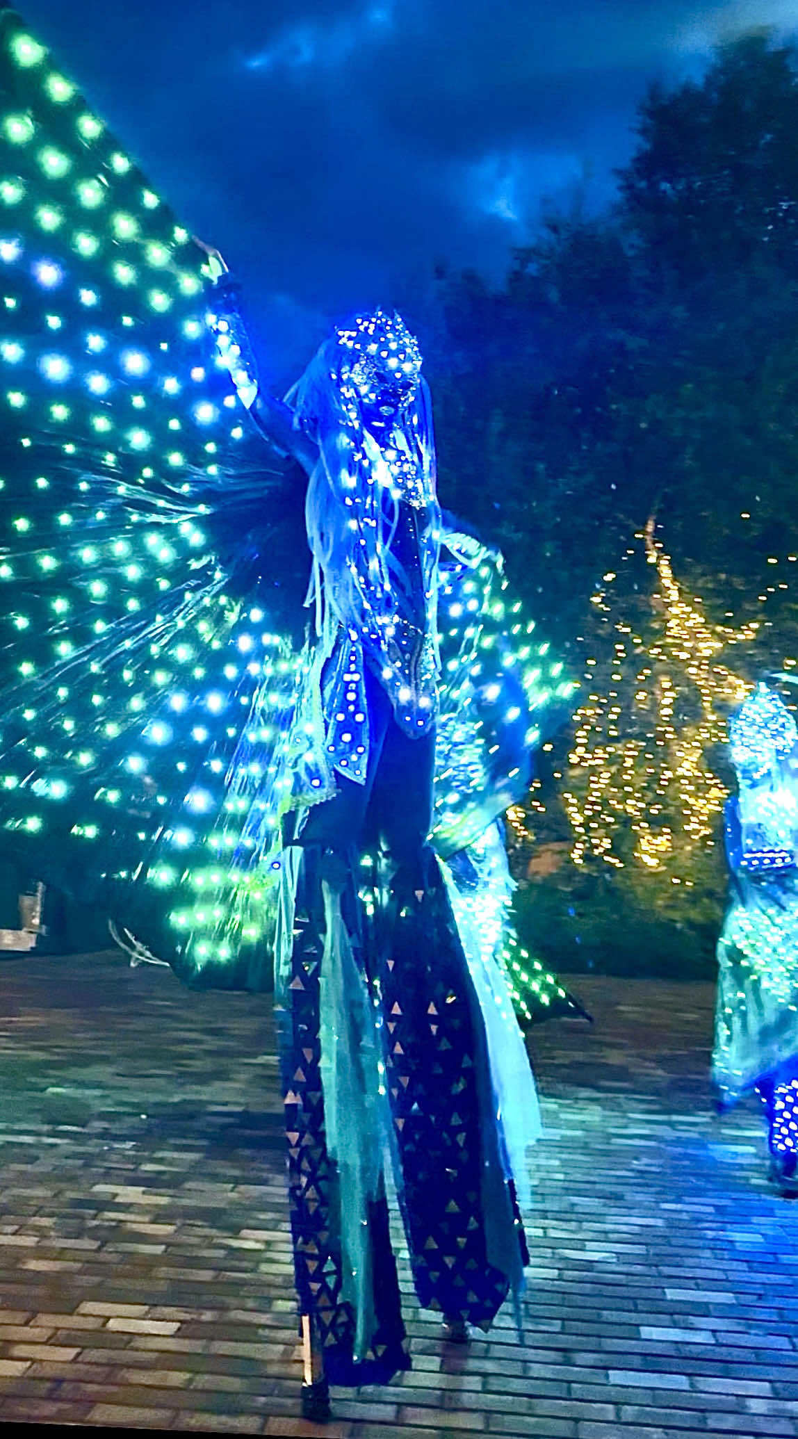 @Pandora Show/Световое шоу/LED