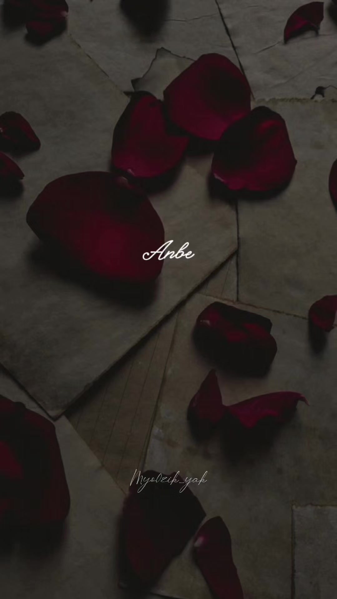 @ꪑꪗꪮ੦ɀỉƙ_ꪗꪖƙ ♪♫♬ 🧬