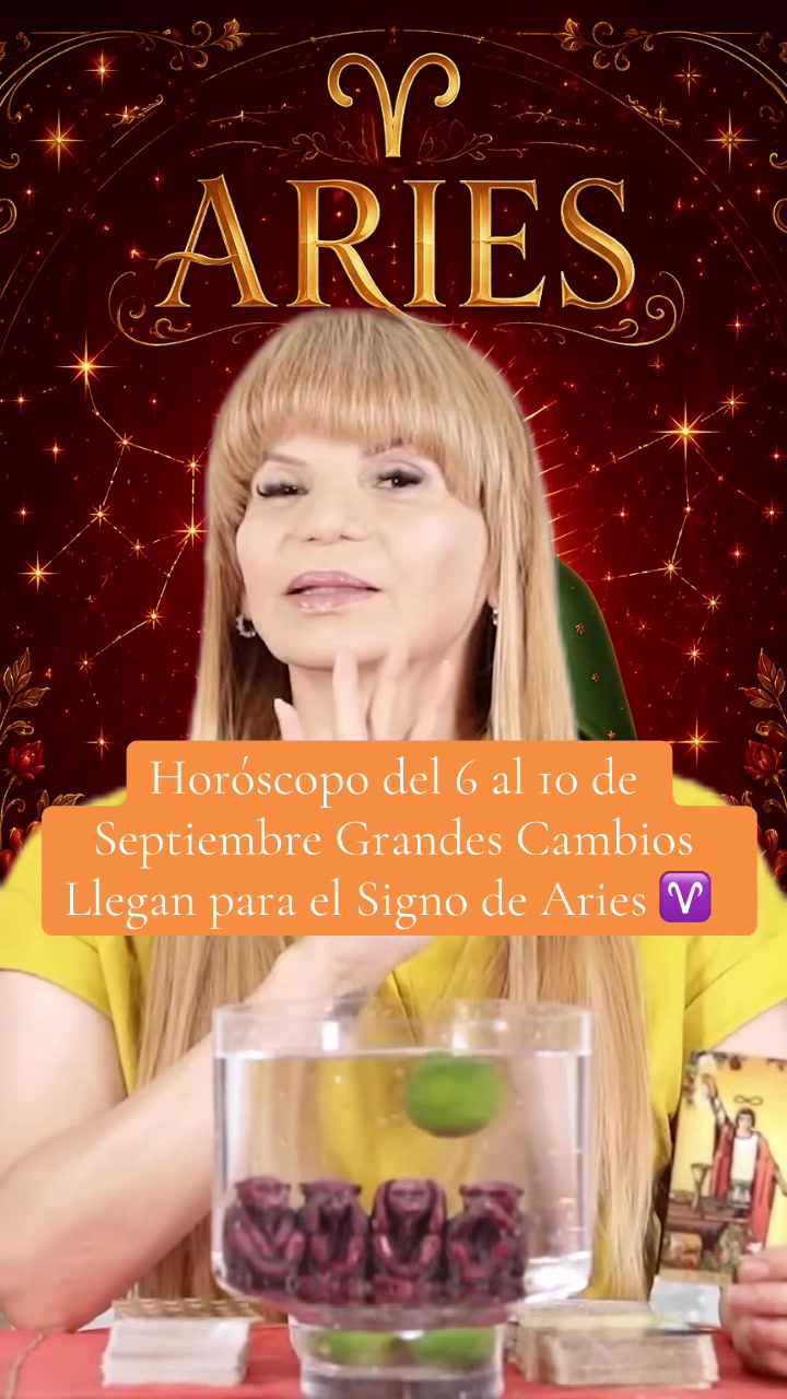 @✨ORÁCULO 13 ✨