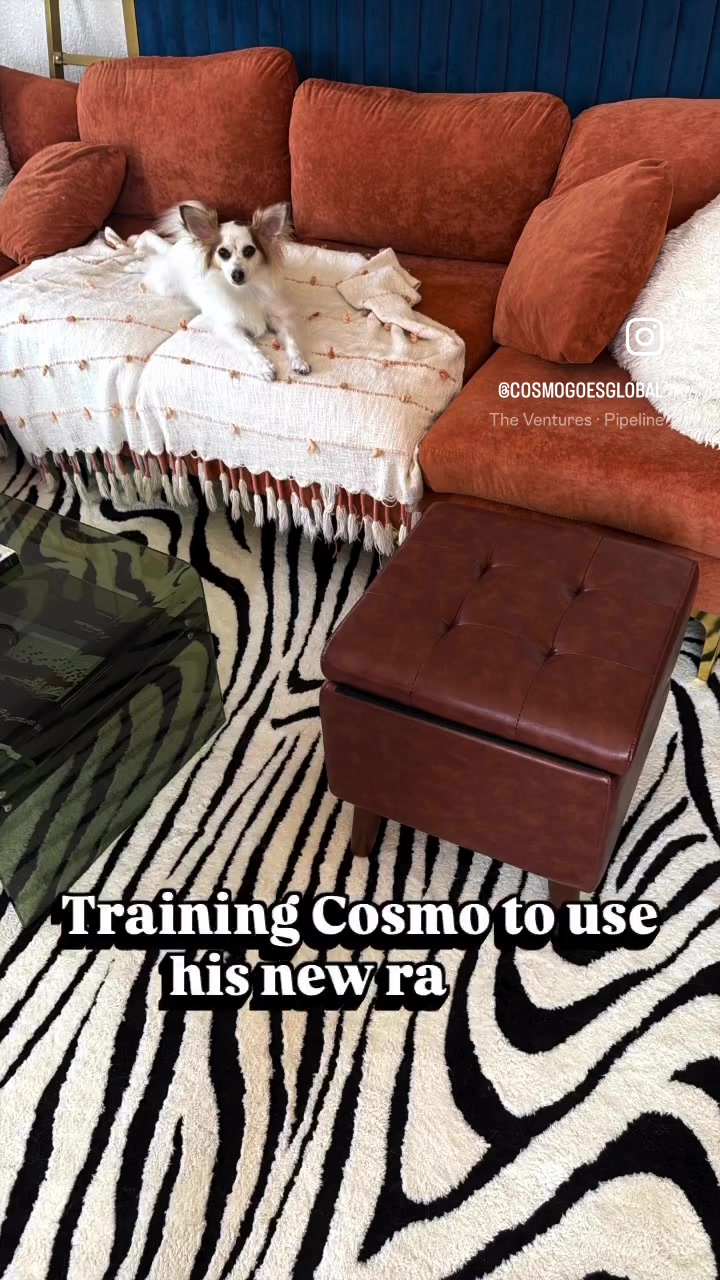 @cosmogoesglobal8