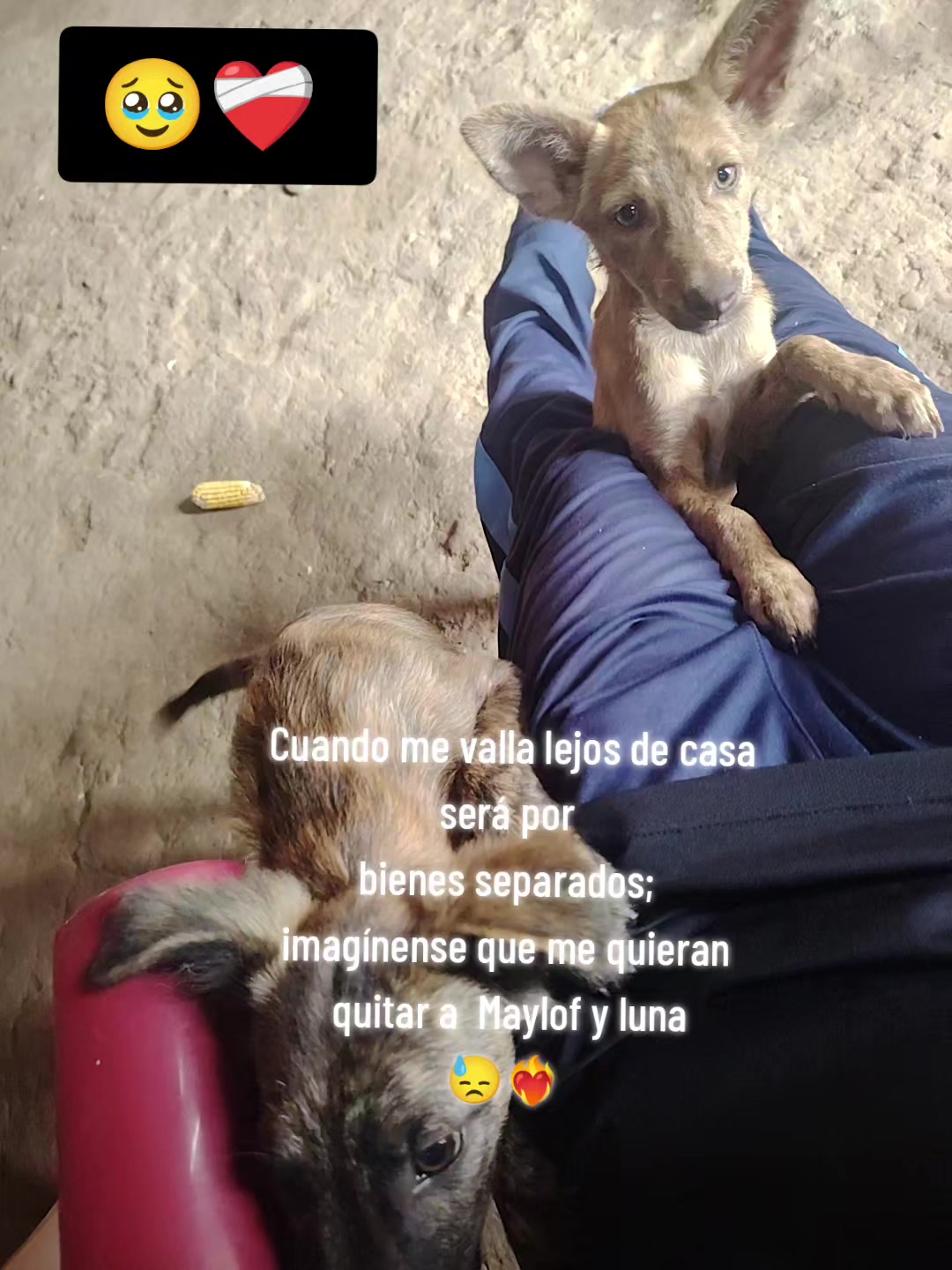 @Ruth Yaranga L&oacute;pez