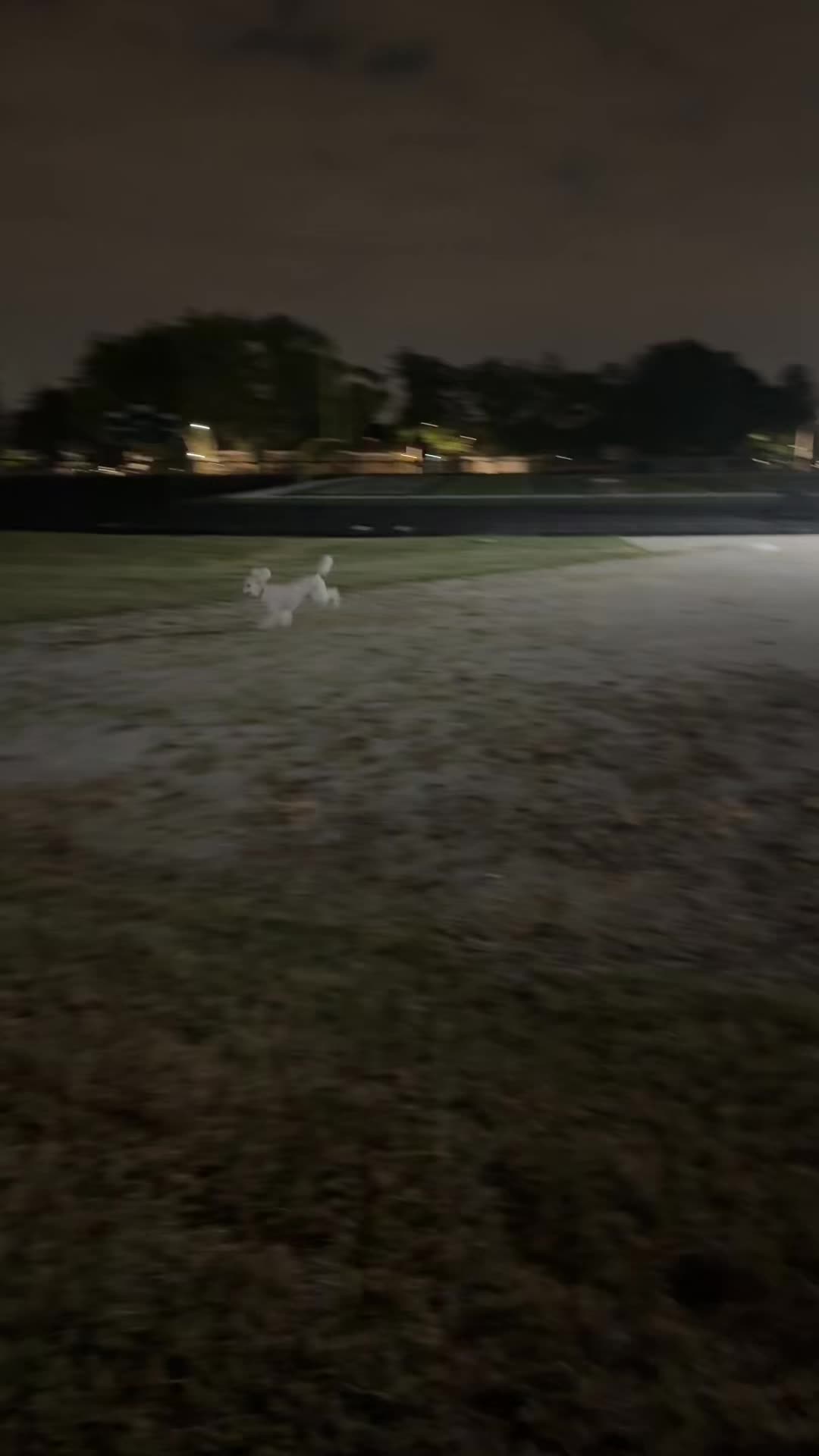 @packwalkdiaries