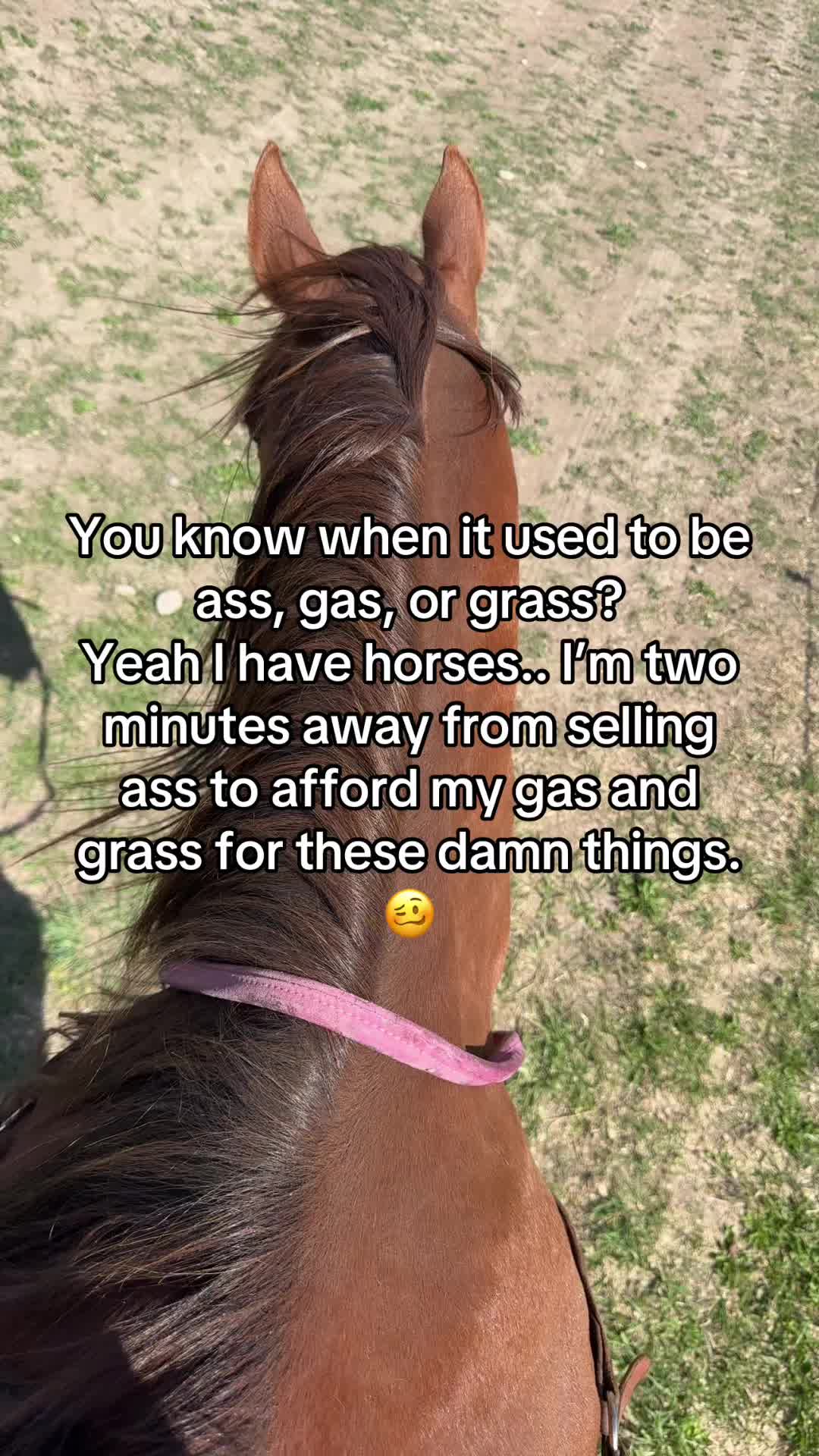 @laramie.wheeler