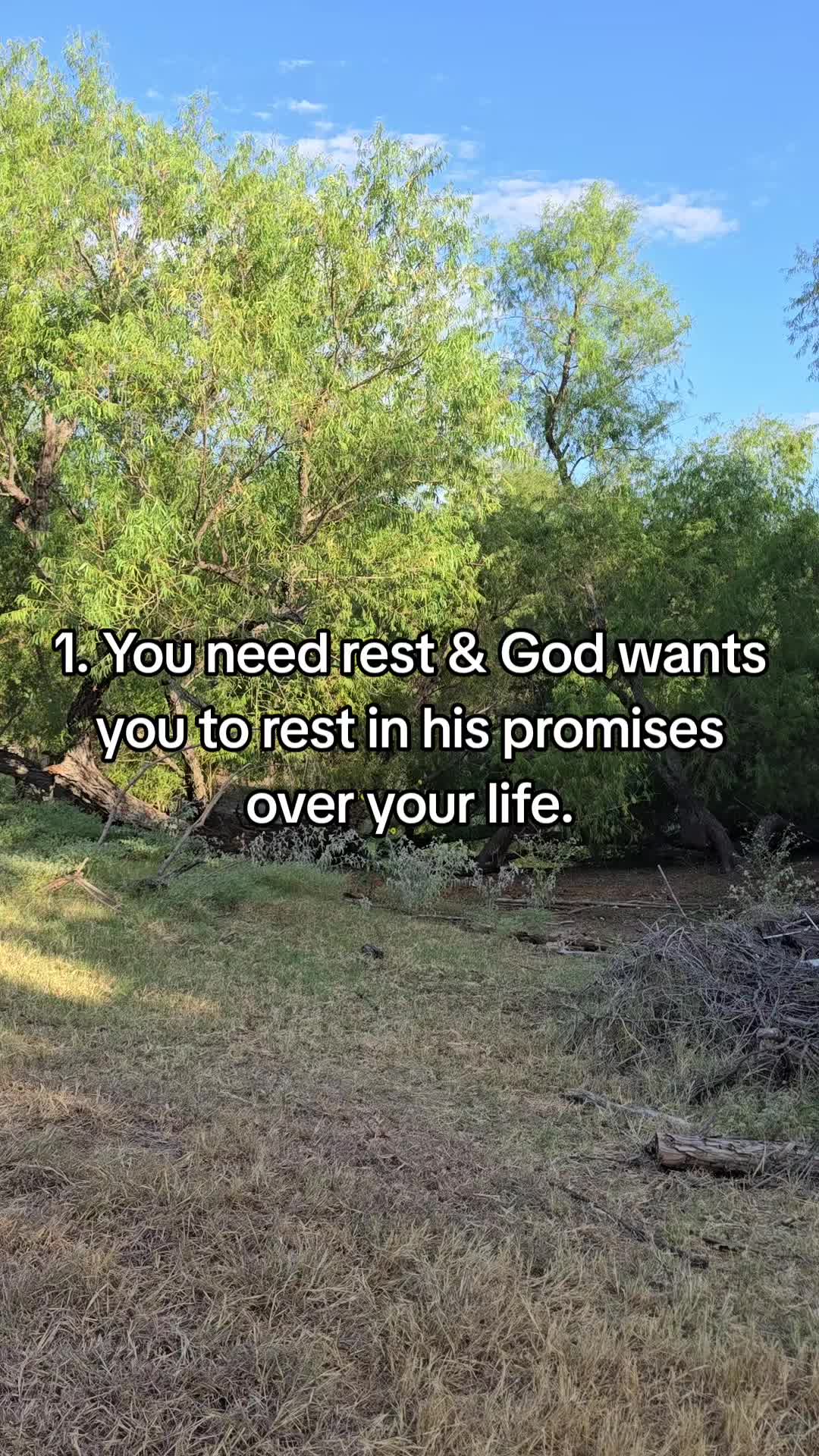 @thelifeyouchoose