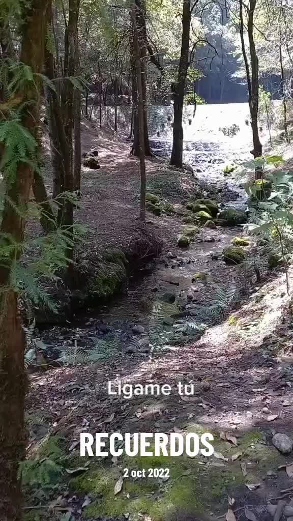 @Jana Guía Turística