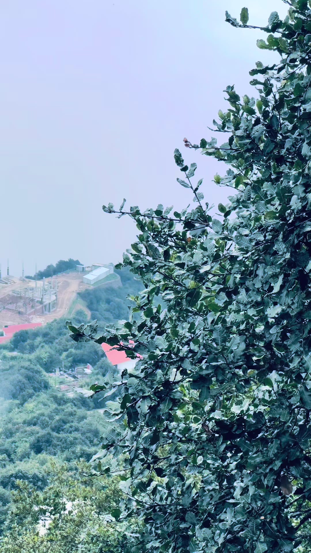 @रिया भण्डारी
