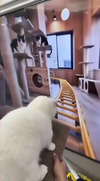 @Funny