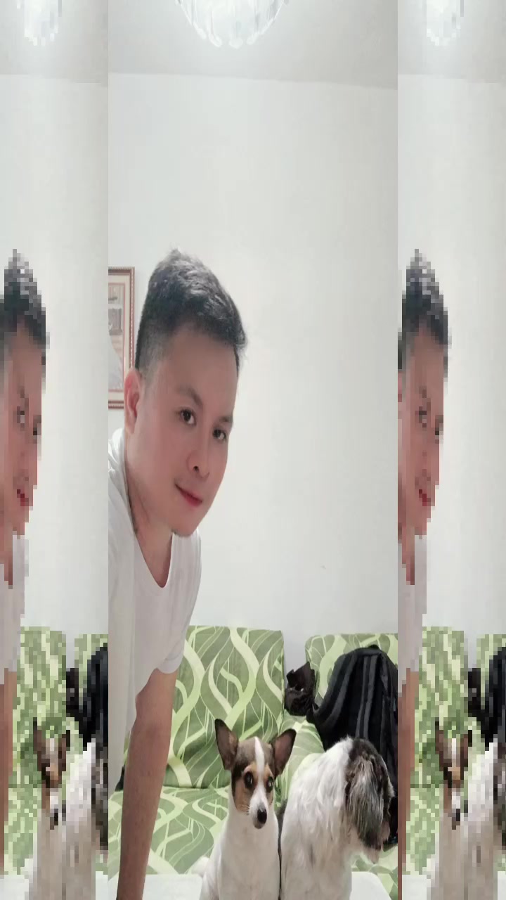 @renantepet