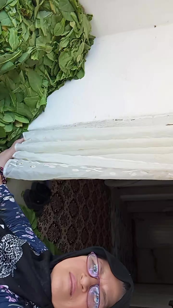 @sevgiaslan4758