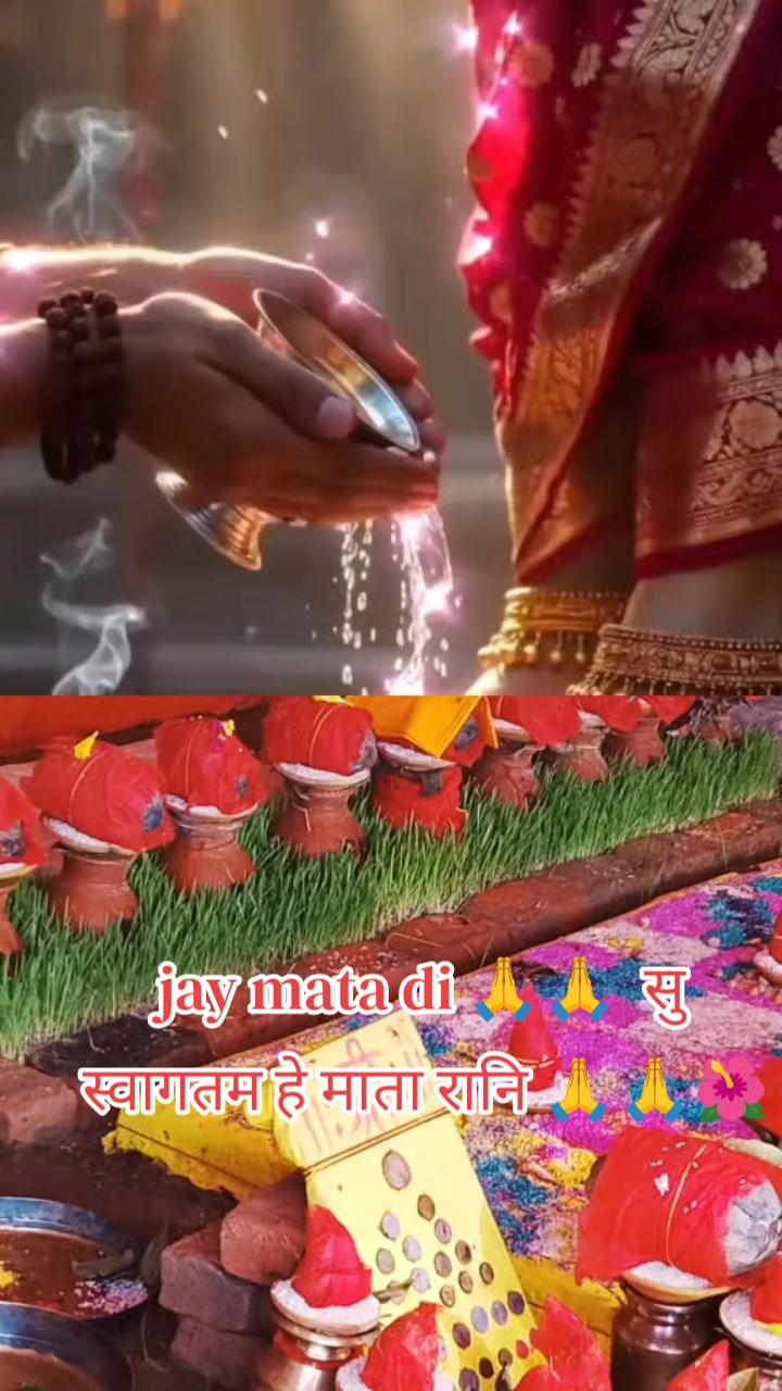 @𝓜𝔂 𝓵𝓲𝓯𝓮 𝓜𝔂 𝓑𝓪𝓬𝓱𝓪