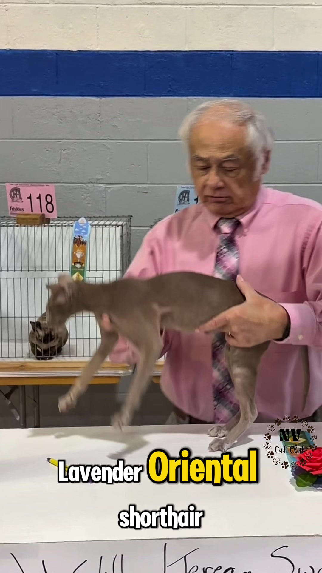@NewVisionCatClub