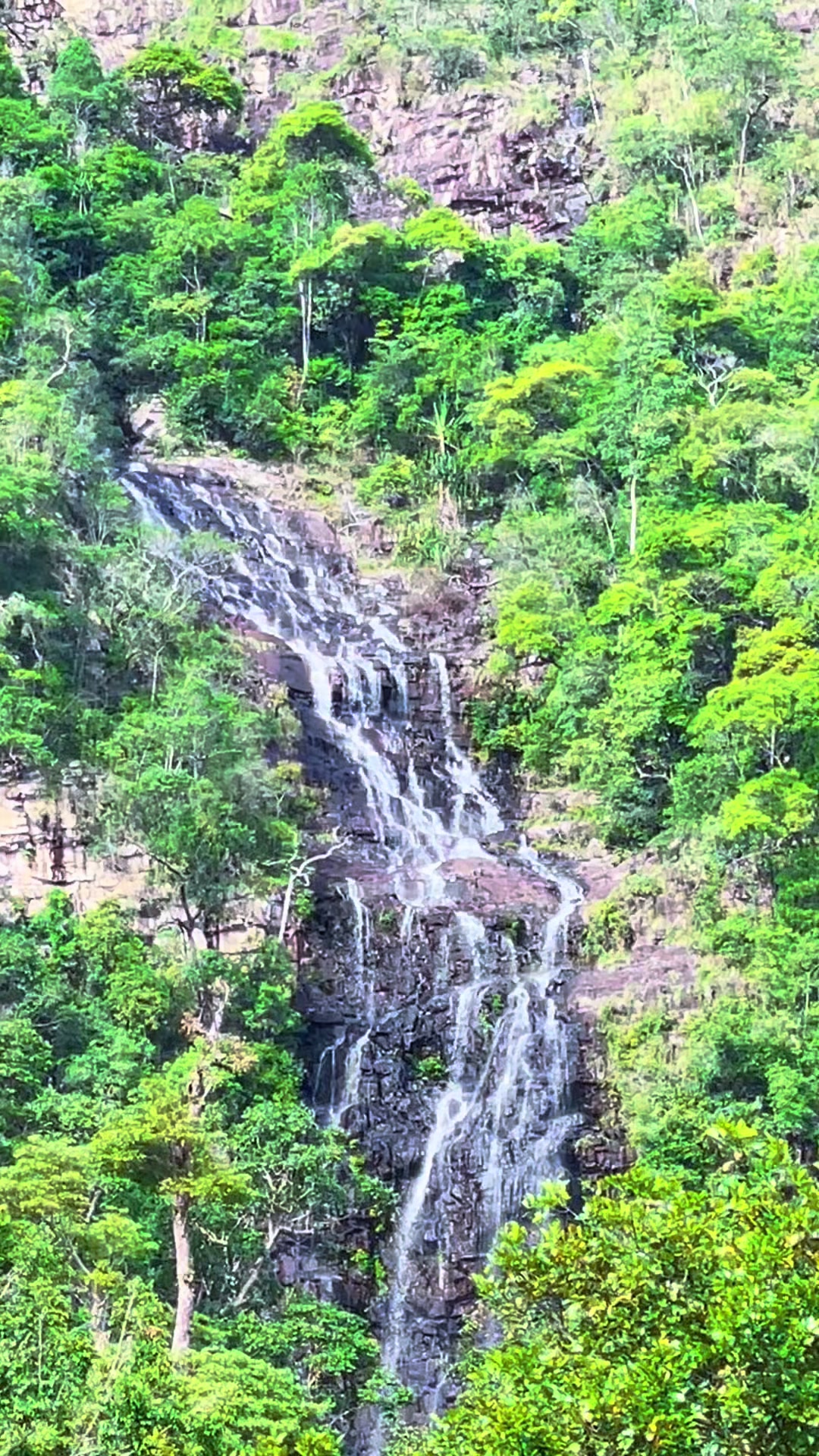 @หมาด อัสรี