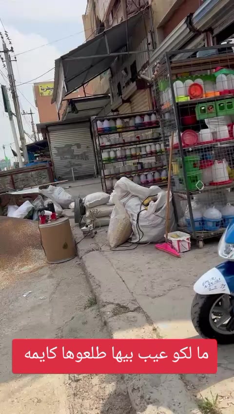 @⚜️ ابن بغداد ⚜️