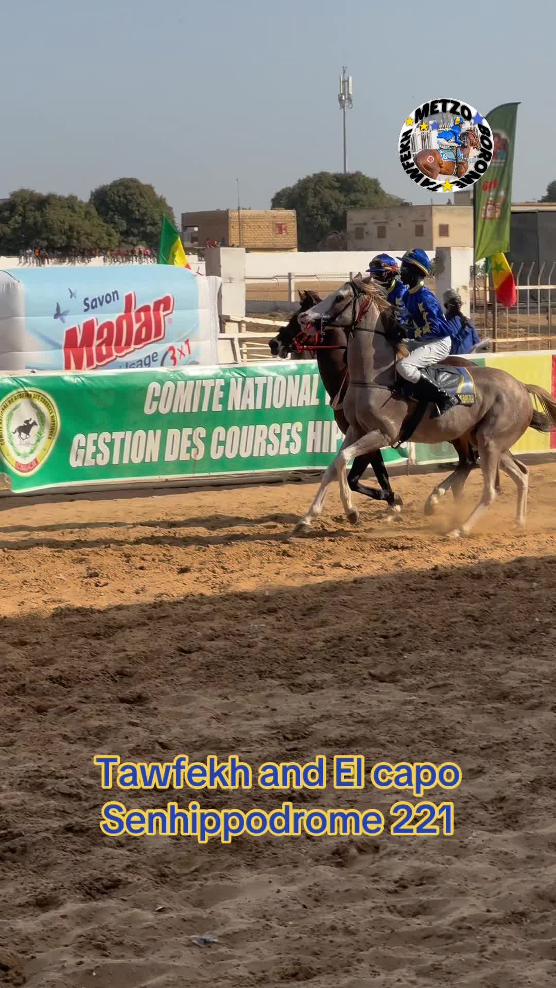 @Metzo🐎 bou tawfekh⚔️