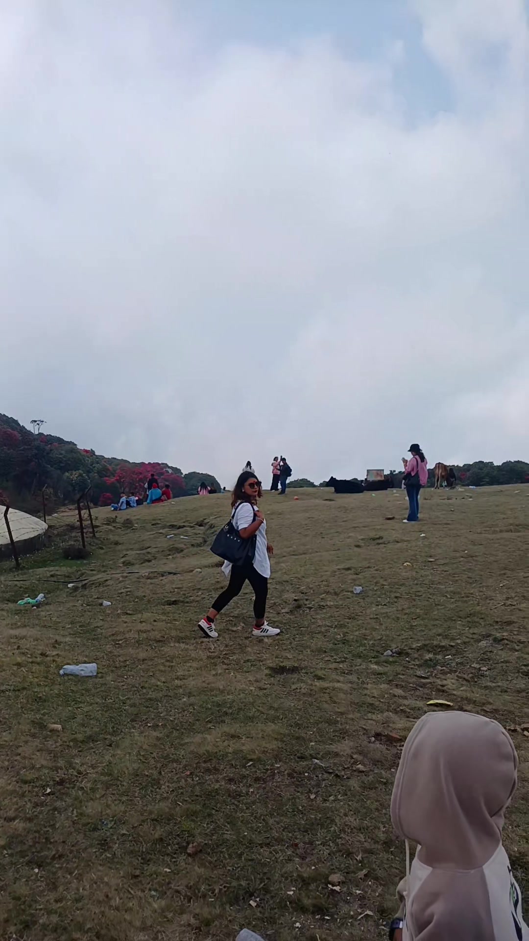 @sarita