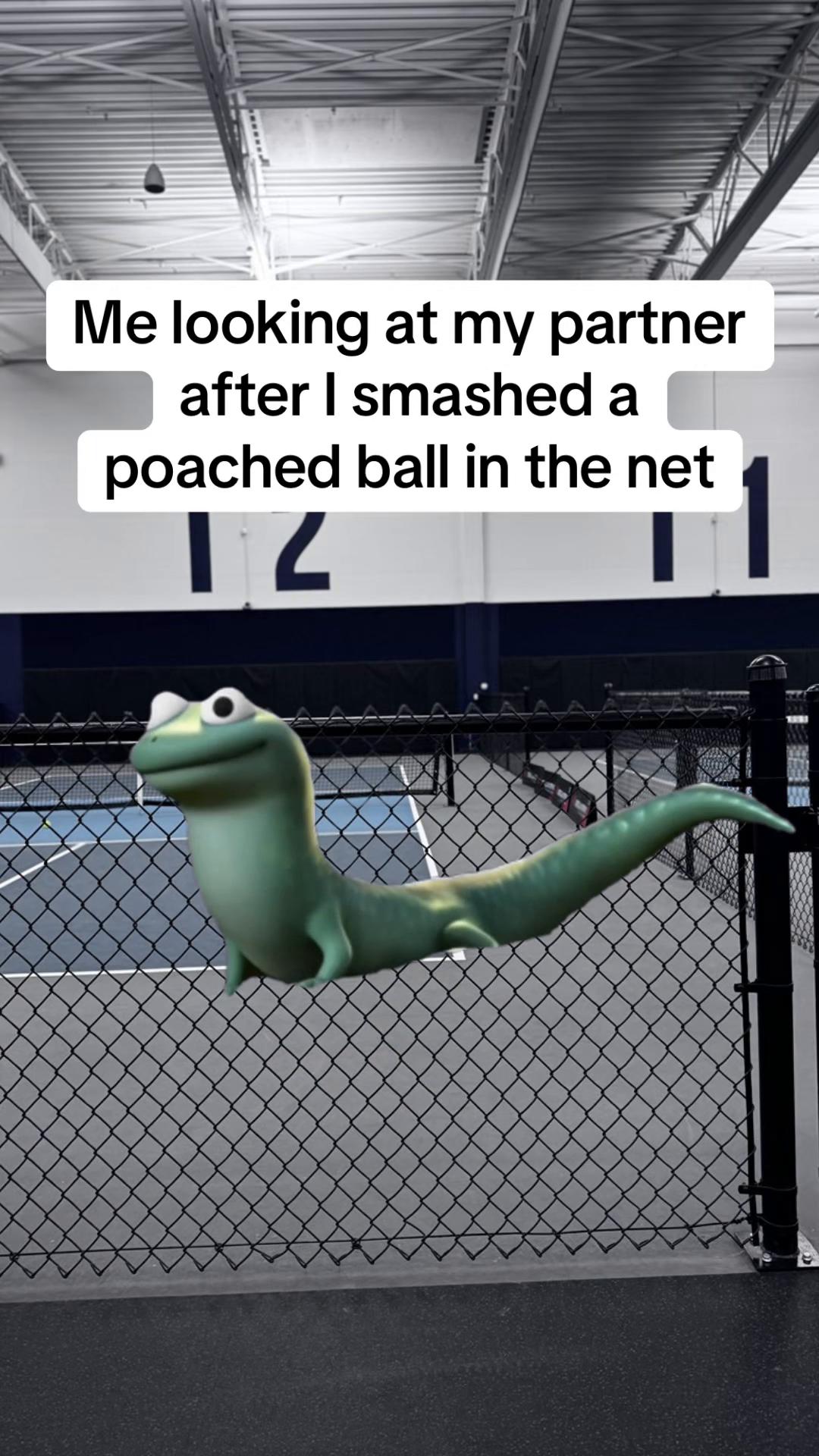 @pickleballtwin