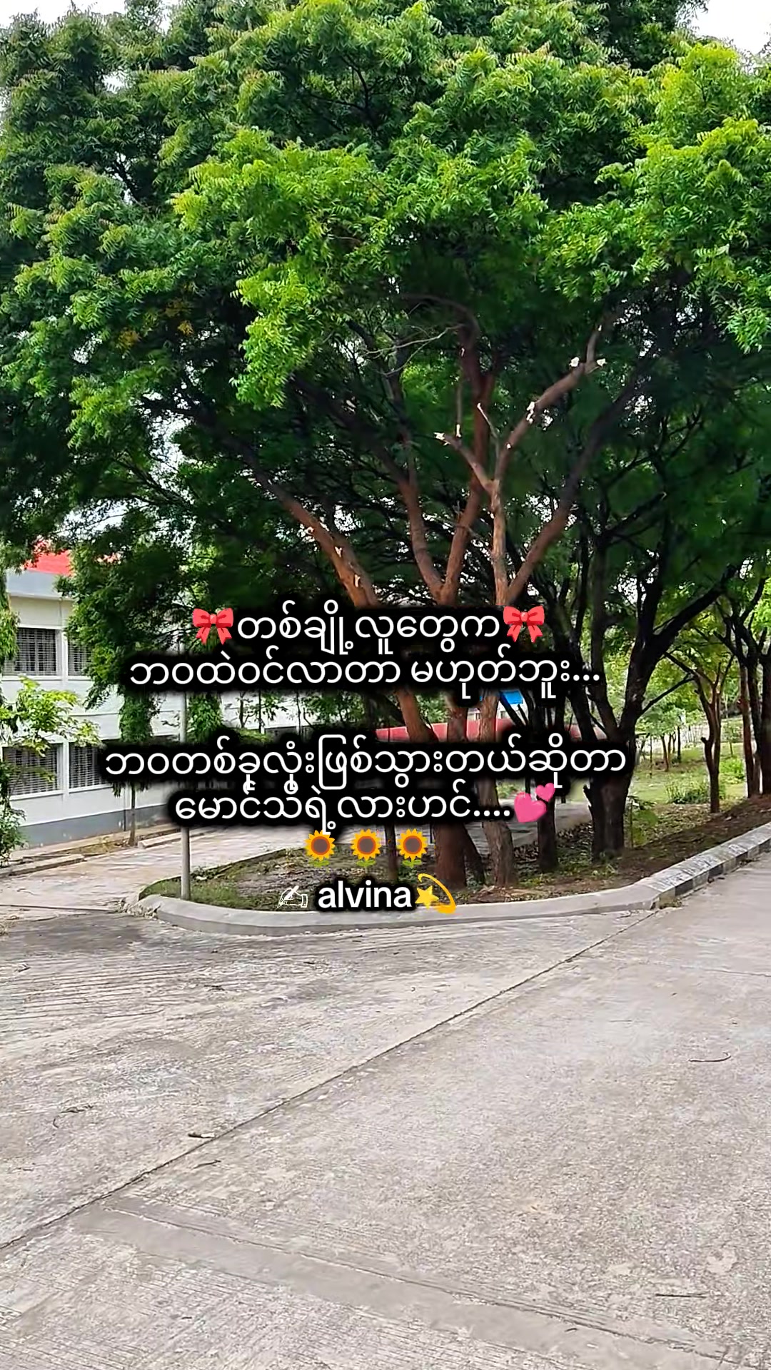 @🇯🇵 Alvina💫(အယ်ဗီနာ)💫🇯🇵