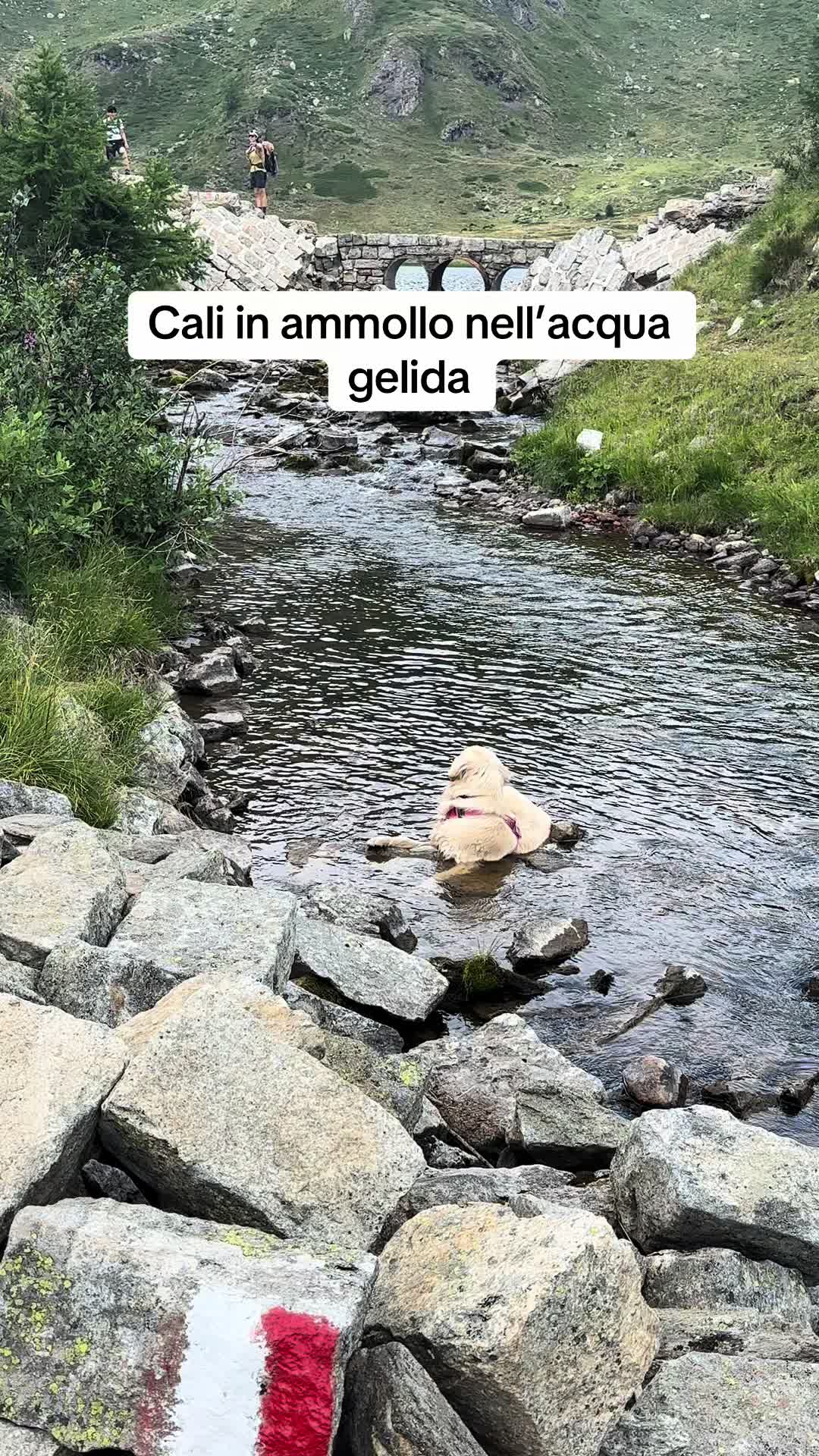 @Raffa&Cali
