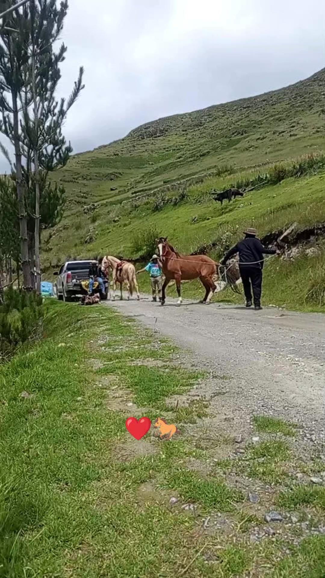 @Jhessica Huamaní Y.H.A