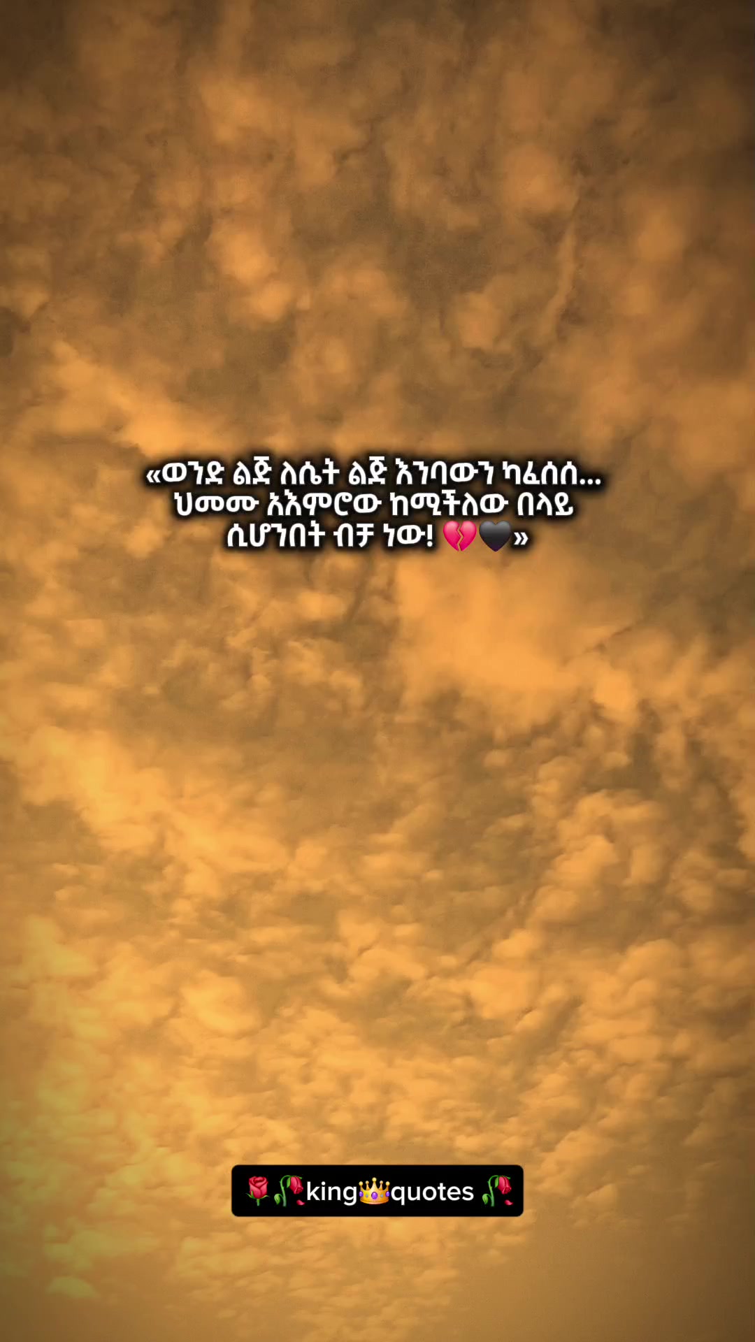 @🌹🌾king👑 quote's 🥀🥀