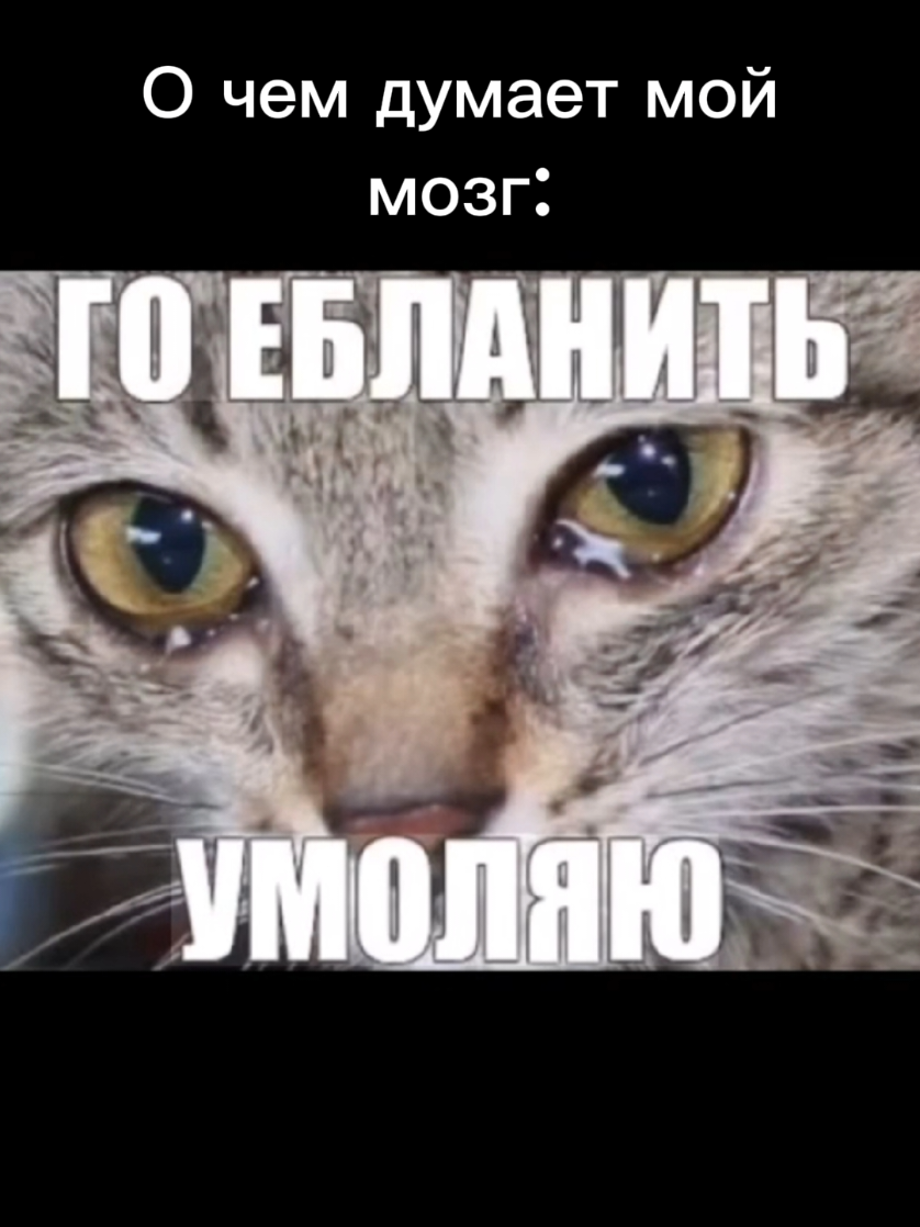 @Евгений Сладкоедов