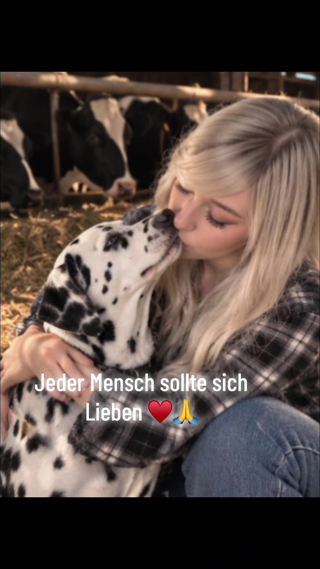 @🦁Denno🦁L&ouml;wenstark🦁