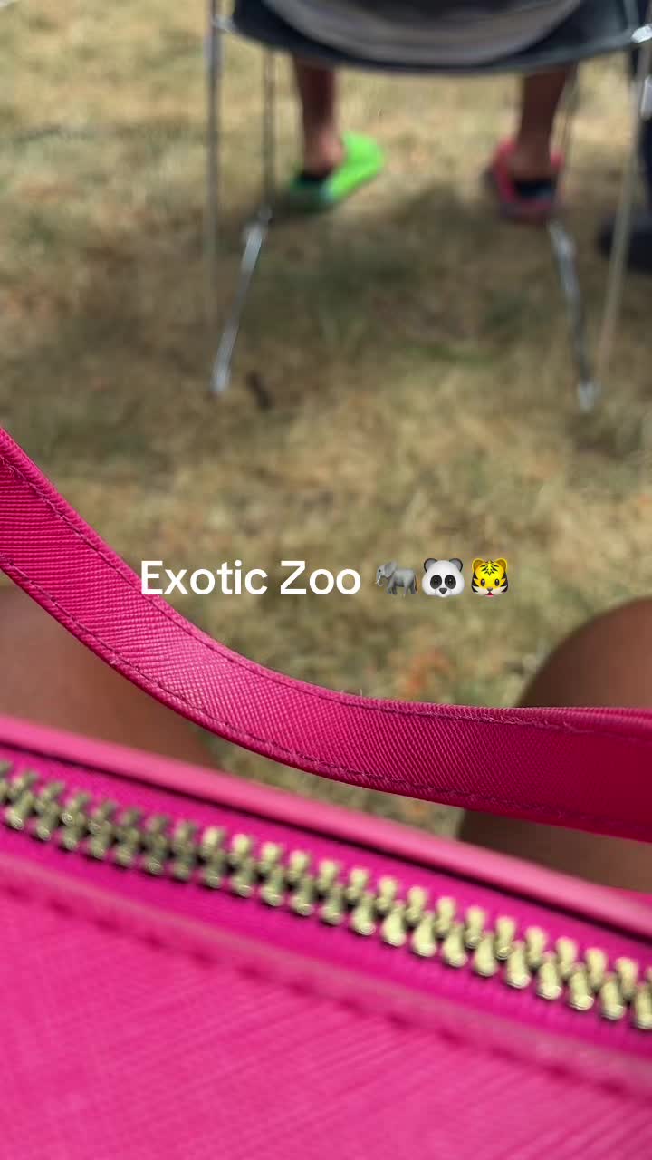 @prettymeme_xoxo