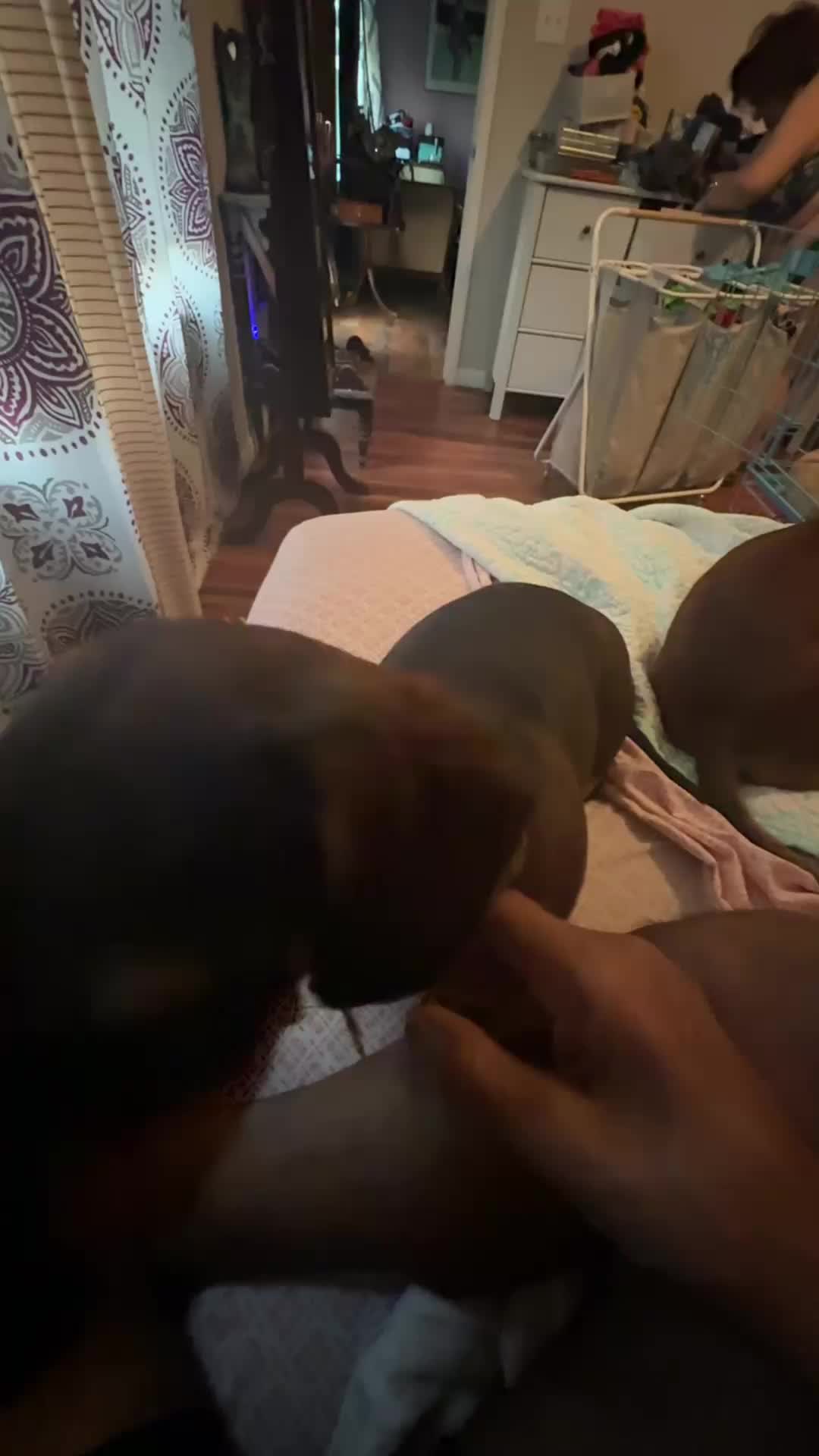 @Ozzythedoxy