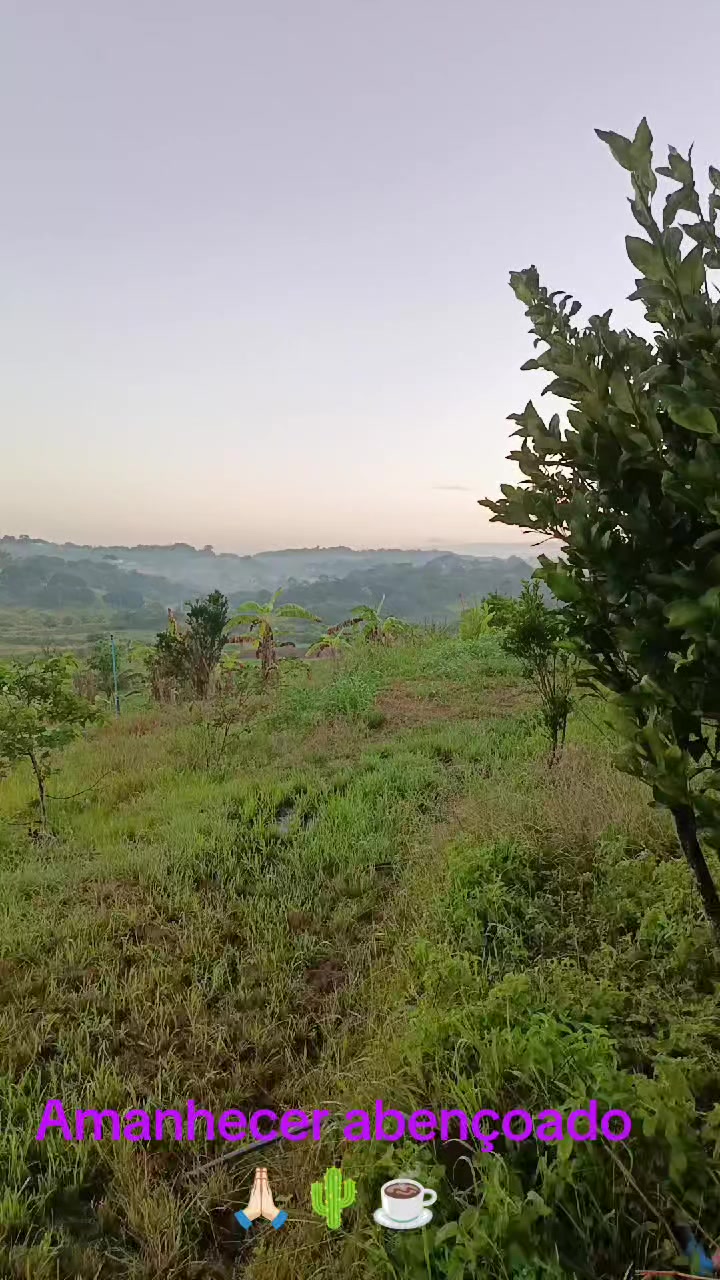 @Ly Bernardes vida no Nordeste