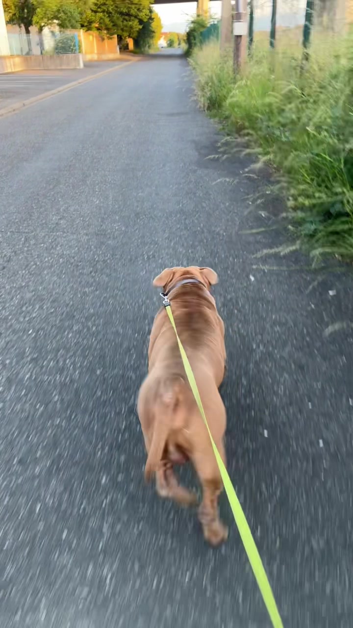@🧩team bully🐶🧸 CB59 😂