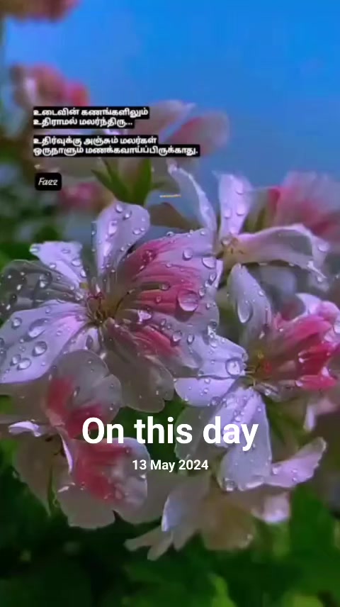 @Imaza_online123