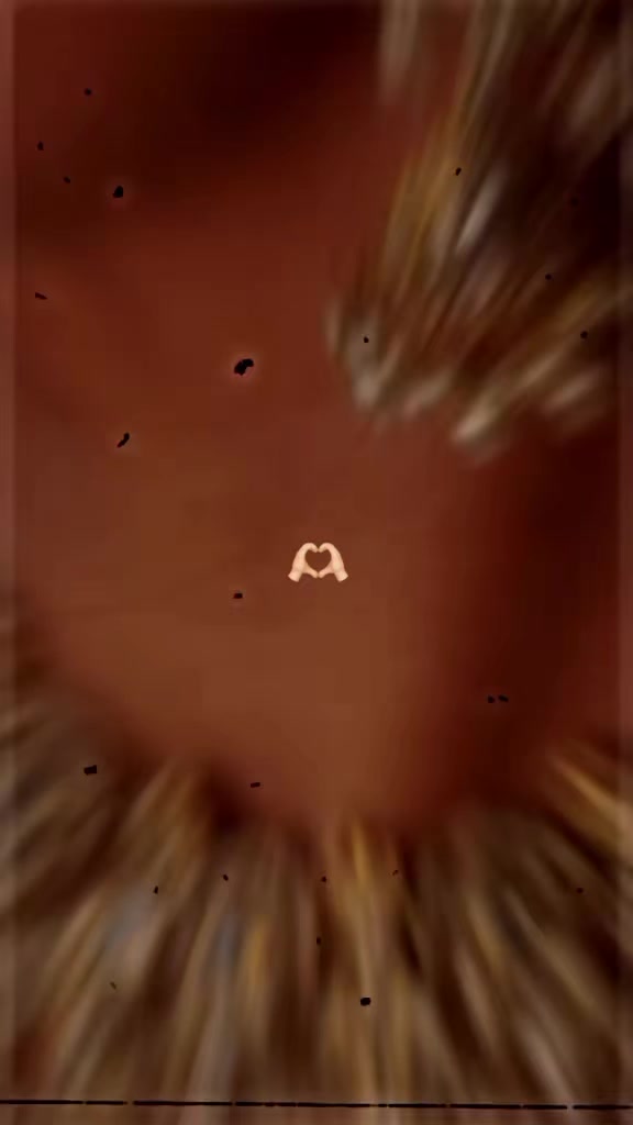 @𝕔𝕙𝕖𝕣𝕣𝕪--141🍒