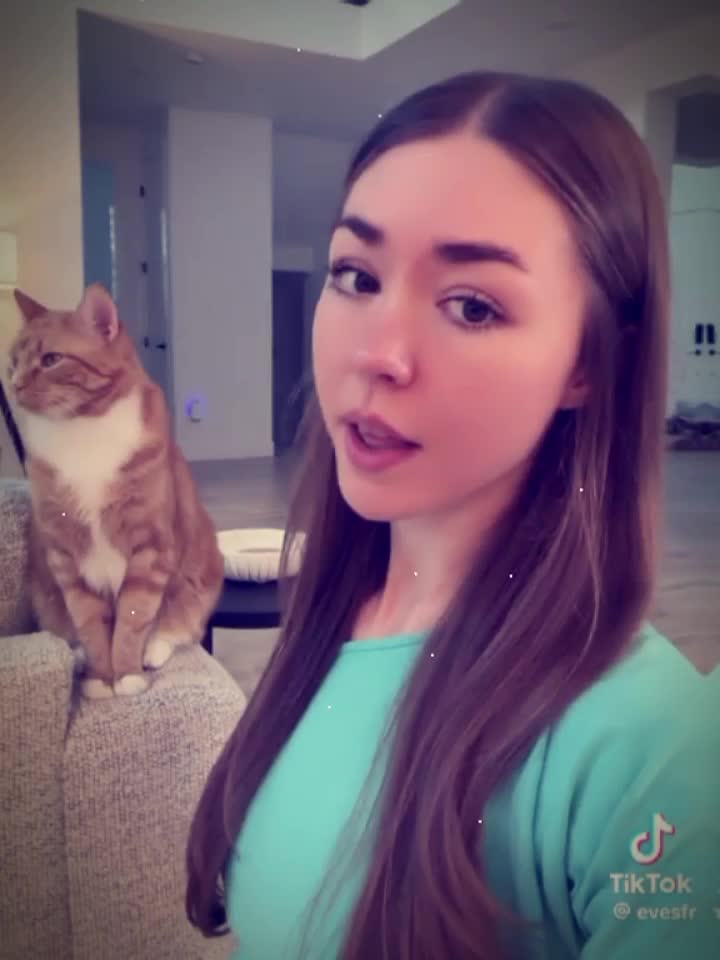 @eves and kiki editor