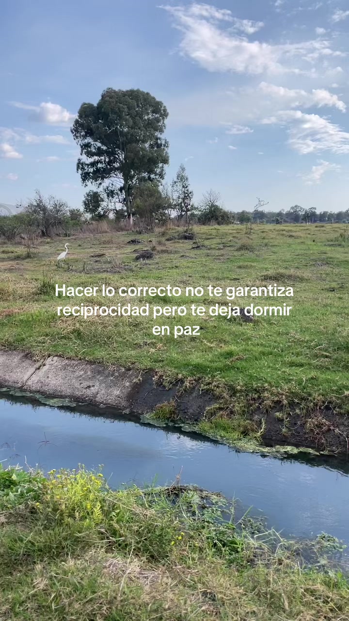@Salma Mora