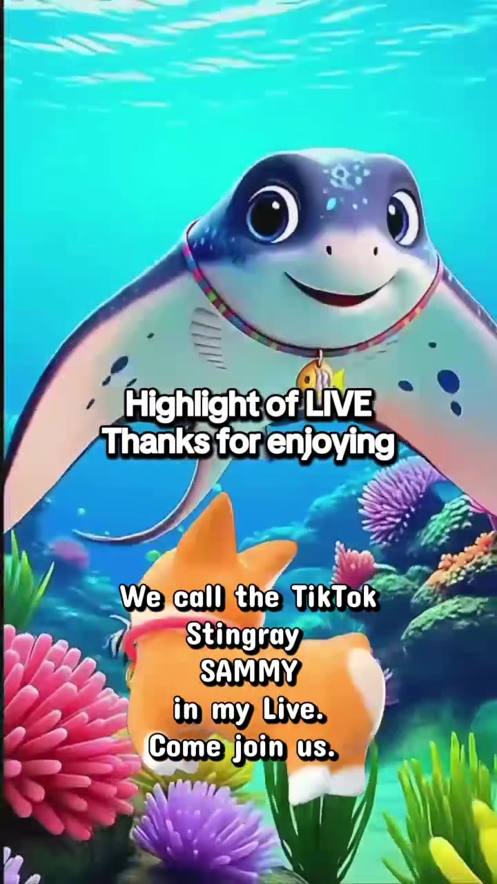 @Timsdifferent🐬
